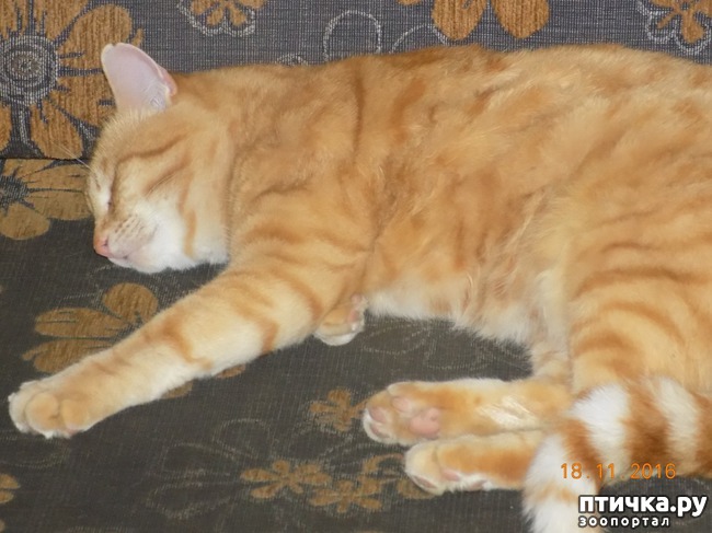 ���� 3: � ������ � ˸�����.