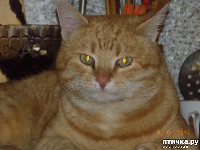 ���� 4: � ������ � ˸�����.