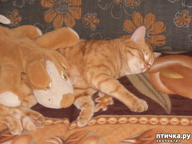 ���� 5: � ������ � ˸�����.