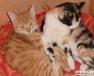 ���� 6: � ������ � ˸�����.