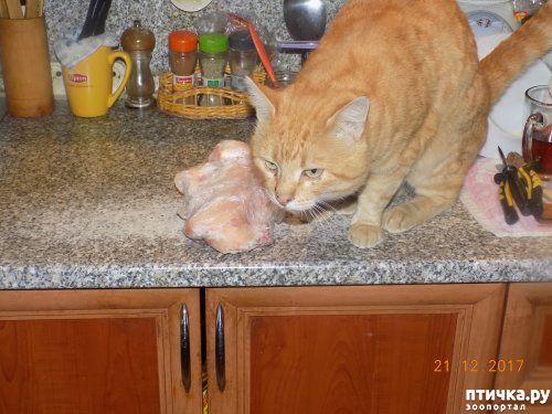 ���� 9: � ������ � ˸�����.