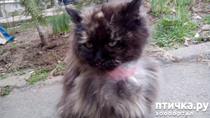 ����: ����� � ��������� � �����