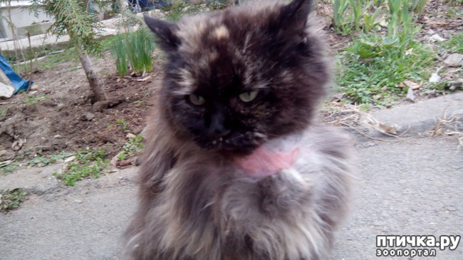 ���� 1: ����� � ��������� � �����