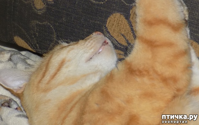 ���� 10: � ������ � ˸�����.