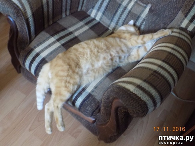 ���� 11: � ������ � ˸�����.