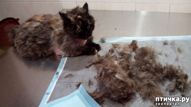 ���� 4: ����� � ��������� � �����