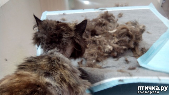 ���� 5: ����� � ��������� � �����