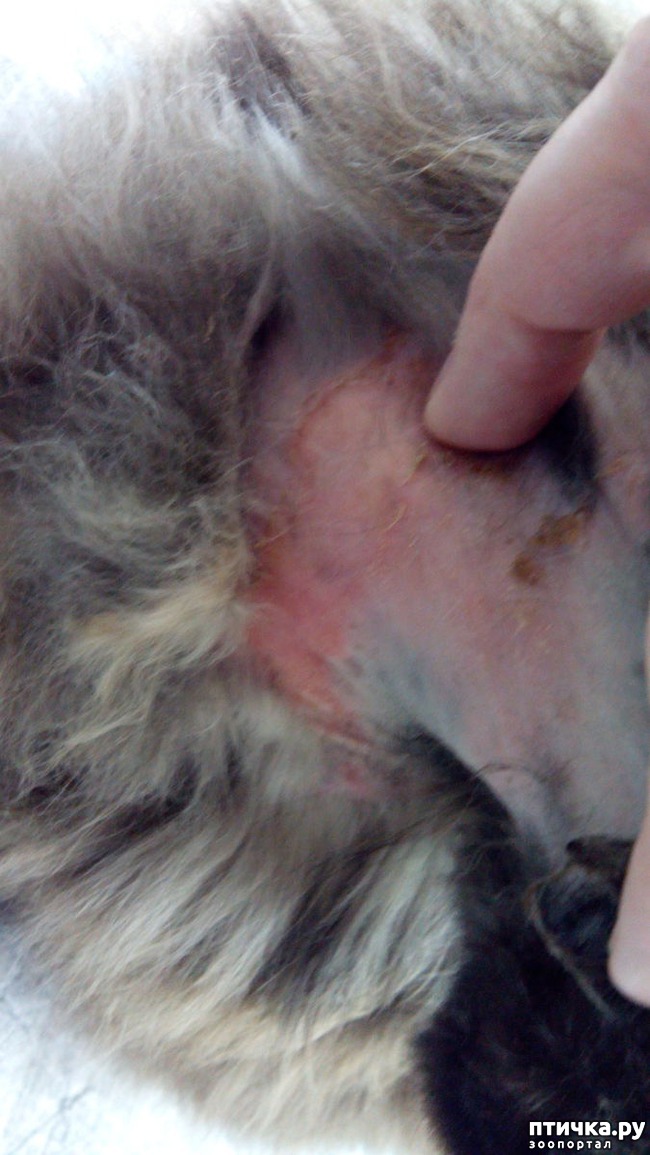 ���� 2: ����� � ��������� � �����