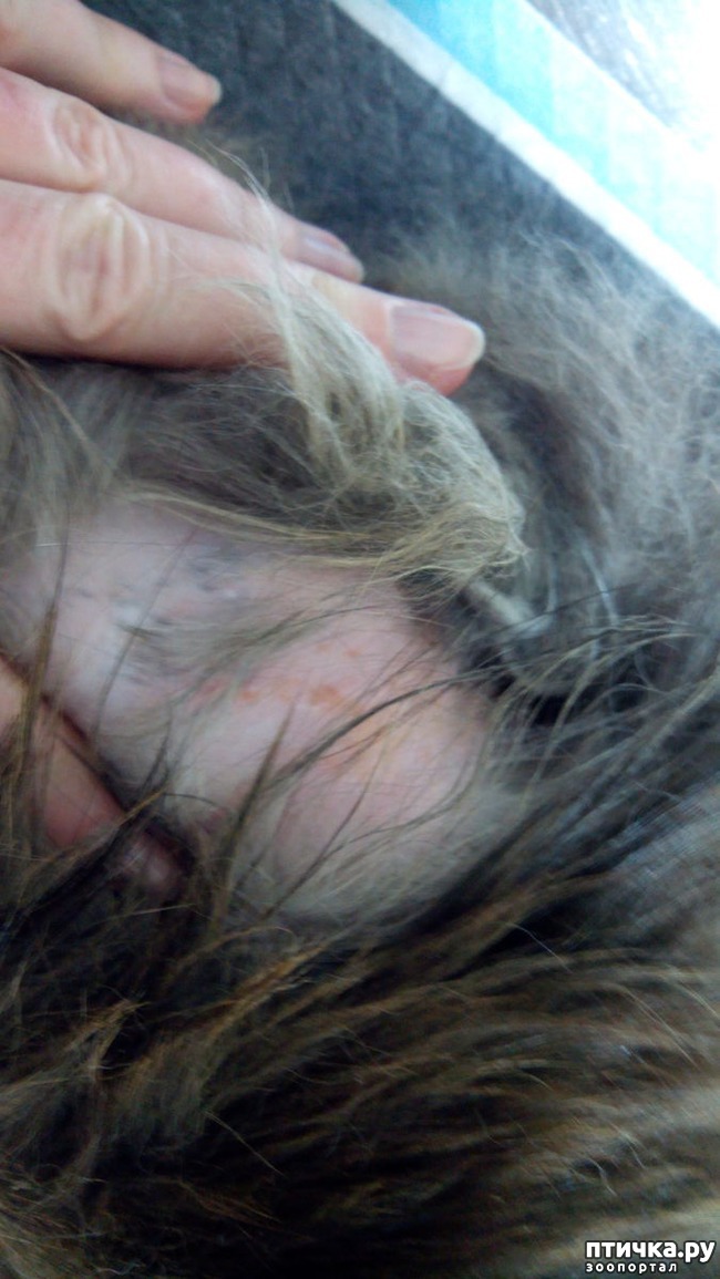 ���� 3: ����� � ��������� � �����