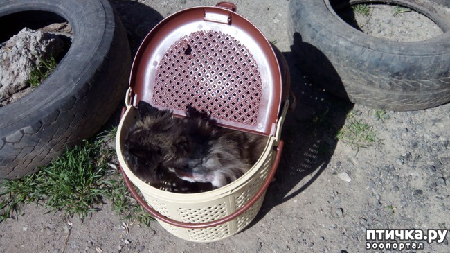 ���� 6: ����� � ��������� � �����