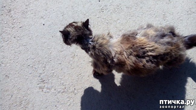 ���� 7: ����� � ��������� � �����