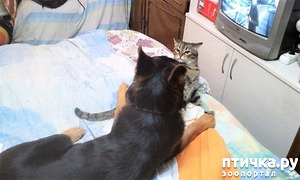 ����: ��� ����� � �������� �����?