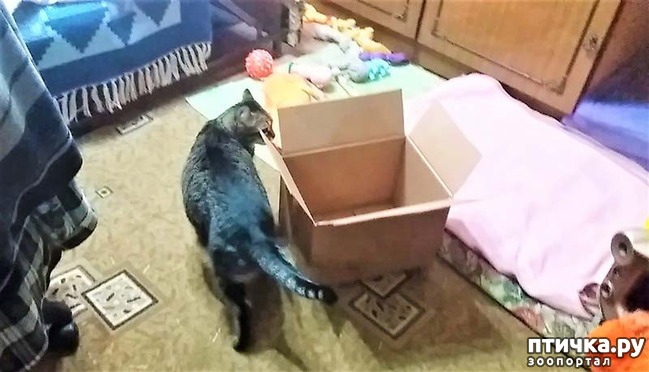 ���� 2: ��� ����� � �������� �����?