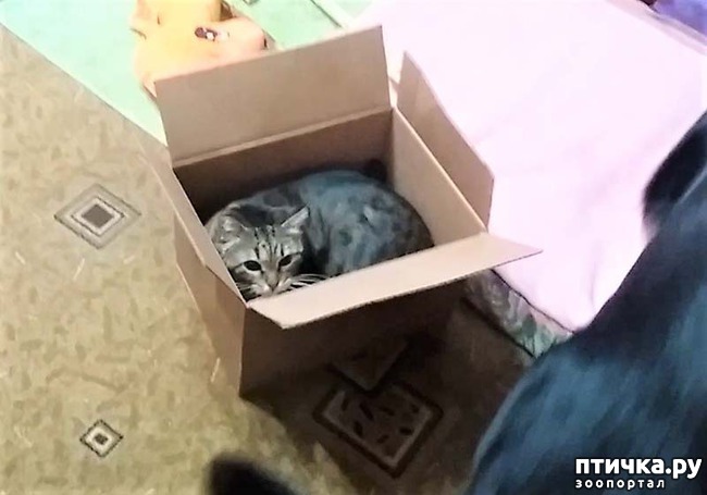 ���� 3: ��� ����� � �������� �����?