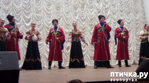 ����: ���������� ����