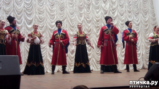 ���� 1: ���������� ����