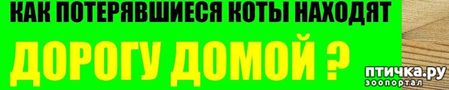 ���� 1: ��� ����� ������������ �����?