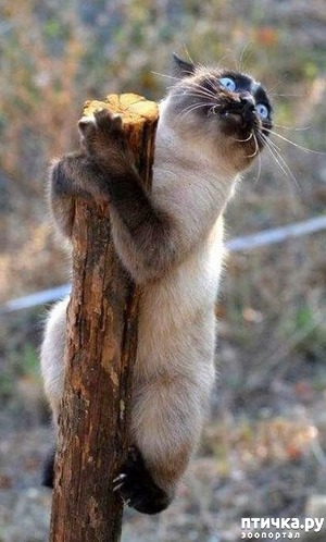 ����: ����� ����� � "������" � ����