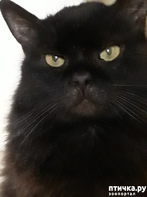 ����: ������������ � ��������� ���������. ������� ������.