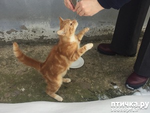 ����: ��� � �����