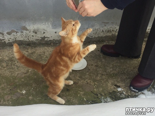 ���� 1: ��� � �����