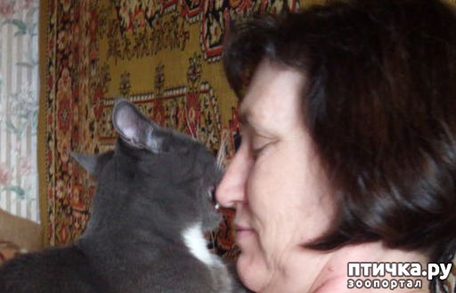 ���� 2: ��������� ������