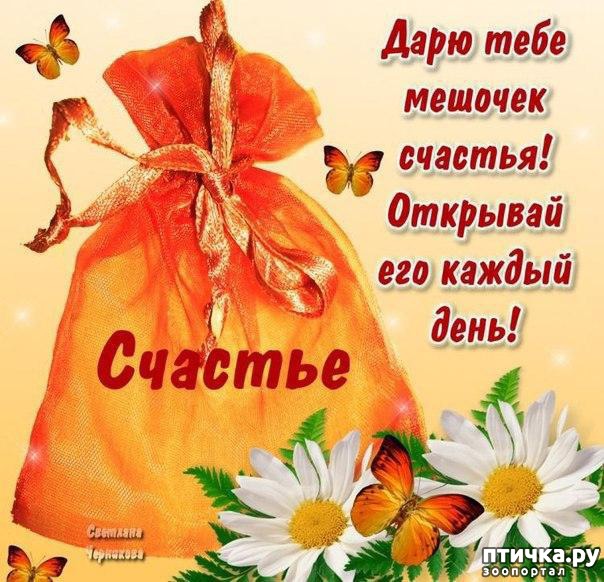 ���� 4: ���������� � ���� �������!