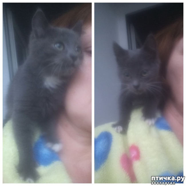 ���� 3: ��������� ������