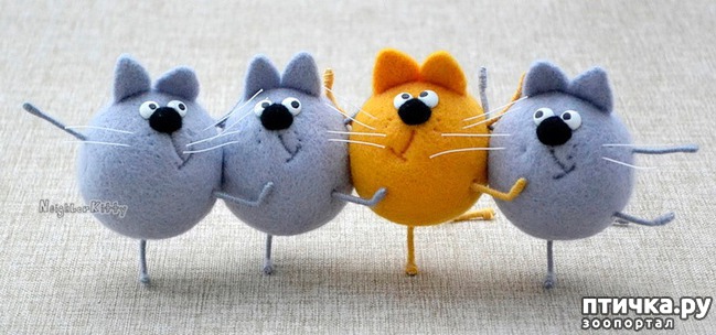 ���� 6: �������������� ������� ������� �� Elena Covert