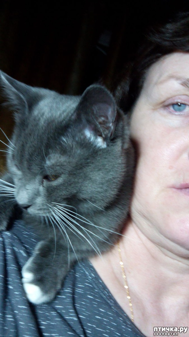 ���� 4: ��������� ������