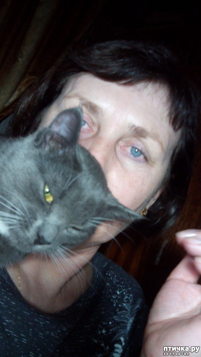 ���� 5: ��������� ������