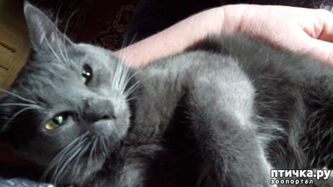 ���� 6: ��������� ������