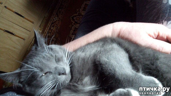 ���� 7: ��������� ������