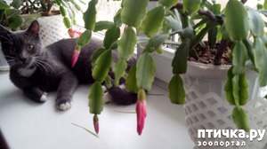 ����: ��������� ������