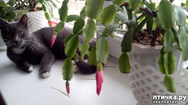 ���� 1: ��������� ������