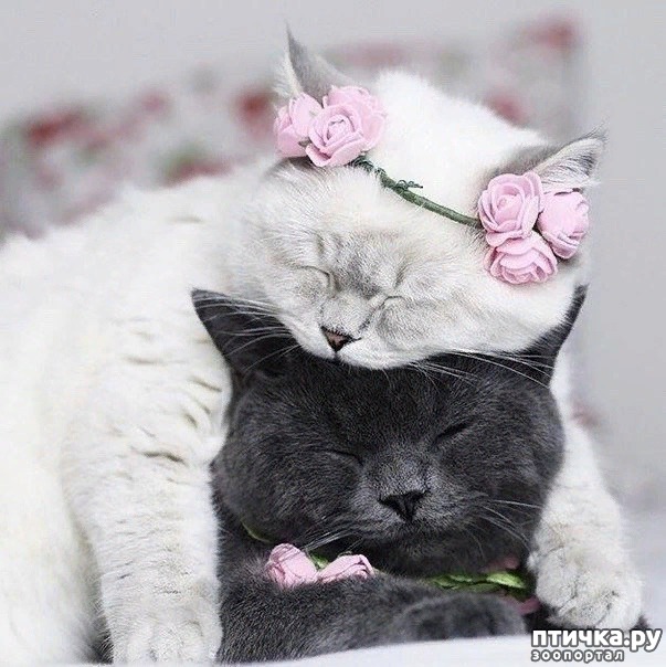 ���� 1: �������� ����������