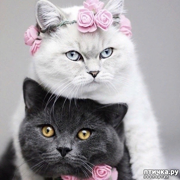 ���� 2: �������� ����������