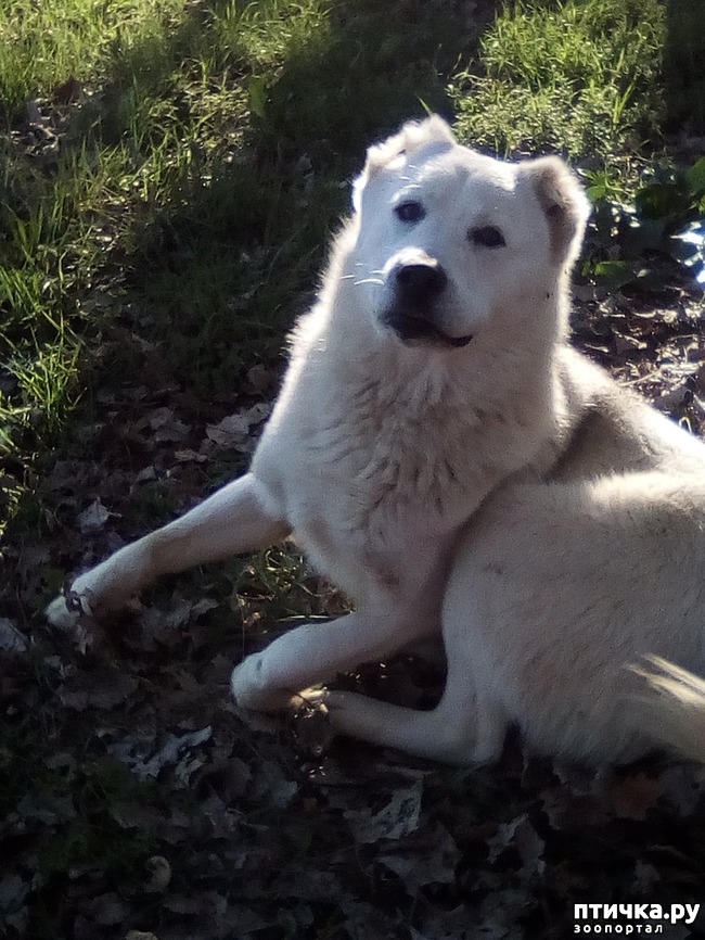 ���� 7: ��� ���� ���������...