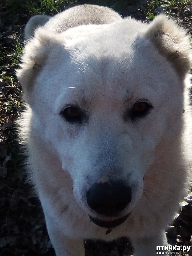 ���� 8: ��� ���� ���������...