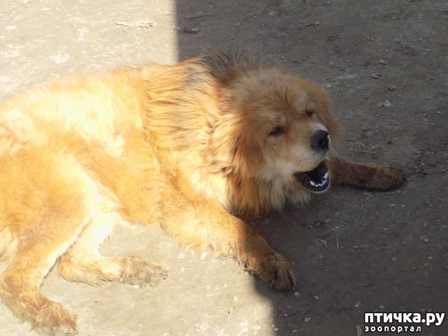 ���� 9: ��� ���� ���������...