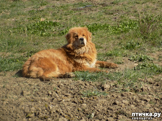 ���� 10: ��� ���� ���������...