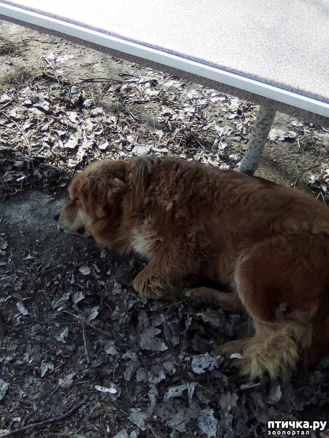 ���� 11: ��� ���� ���������...