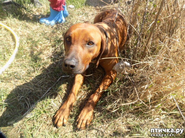 ���� 3: ��� ���� ���������...