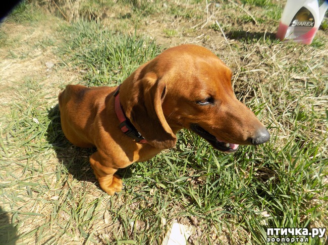 ���� 5: ��� ���� ���������...