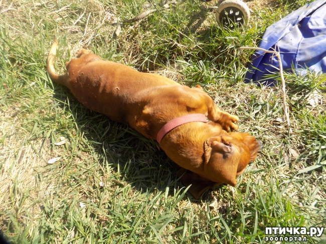 ���� 6: ��� ���� ���������...