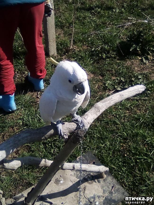 ���� 12: ��� ���� ���������...