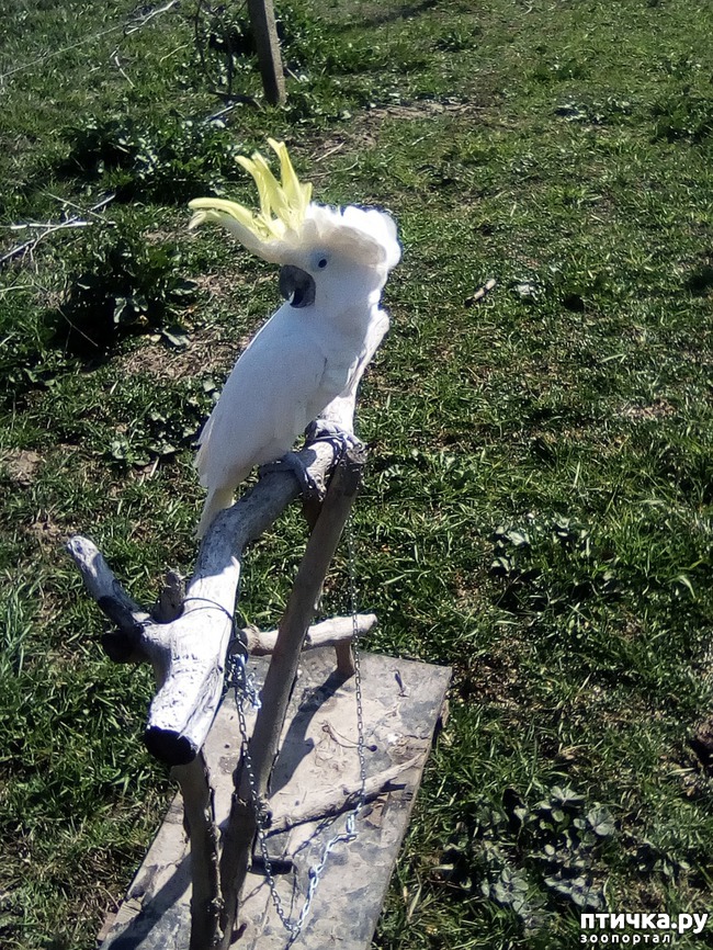 ���� 13: ��� ���� ���������...