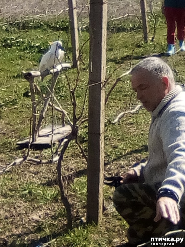 ���� 14: ��� ���� ���������...