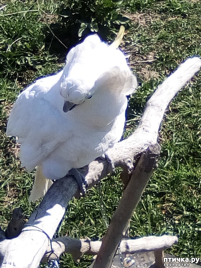 ���� 15: ��� ���� ���������...