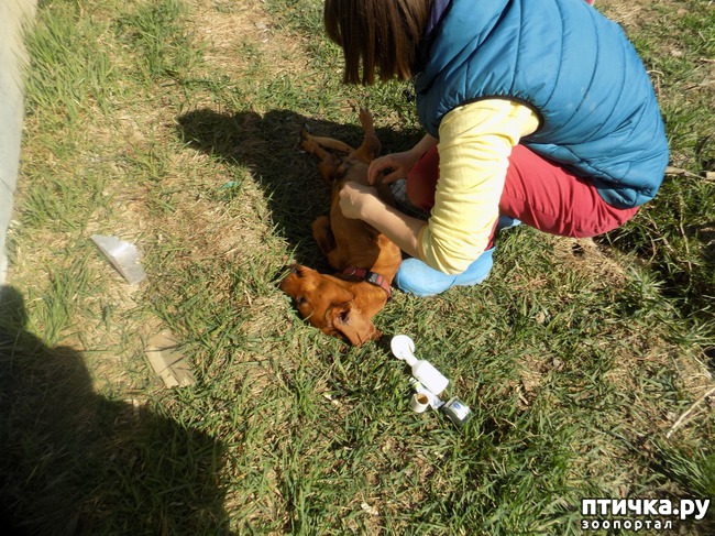 ���� 16: ��� ���� ���������...